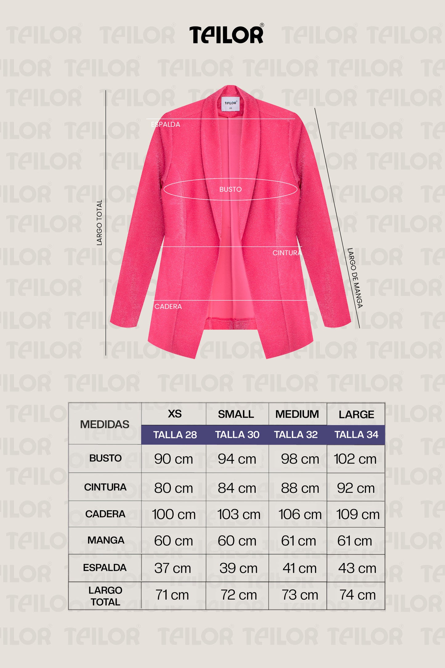 BLAZER BRILLANTE CHARLOTTE PLOMO